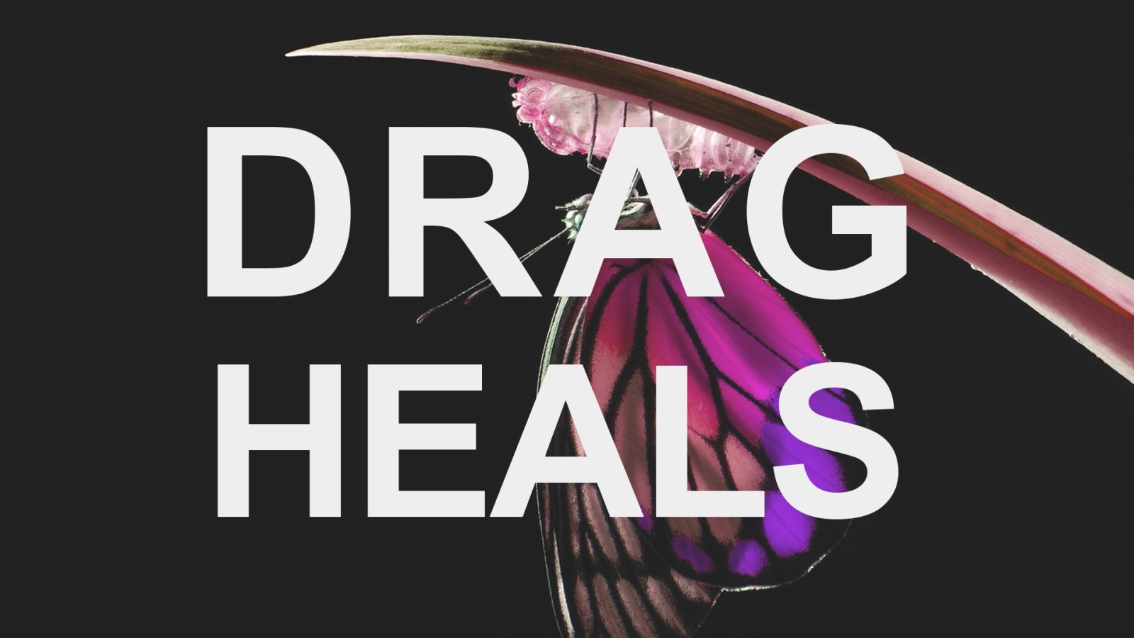 Drag Heals Season 4 Showcase