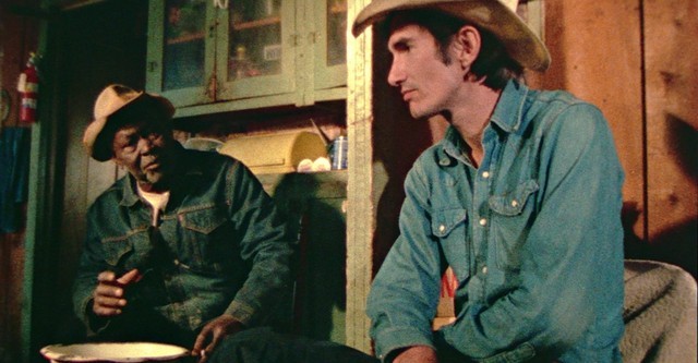 HEARTWORN HIGHWAYS (1976) 