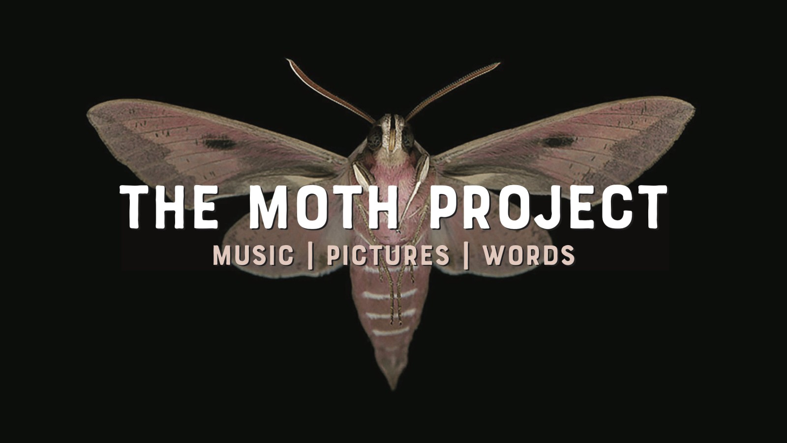The Moth Project Live